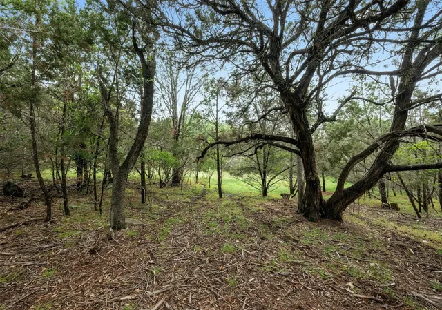 1st image of 1005 Covered Bridge Dr, Driftwood, TX 78619 | MLS# 1603346