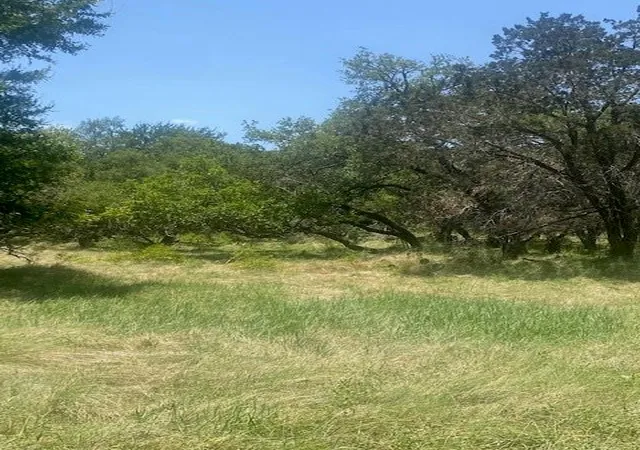 2nd image of 3 Becky Ln, Bertram, TX 78605 | MLS# 5020016