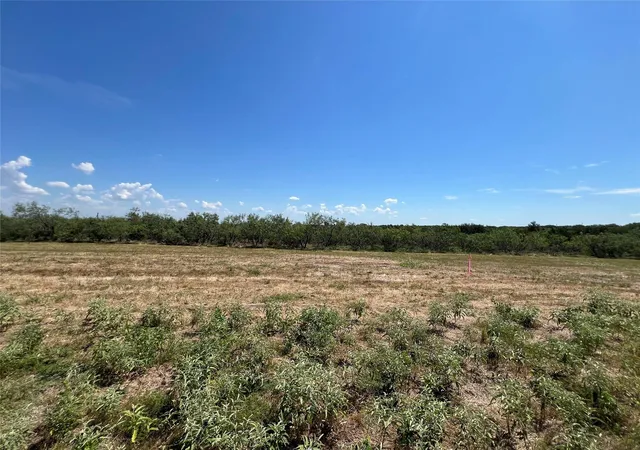 Photo 1 of Land for sale at 2614 Cr 466, Elgin, TX 78621 | MLS# 1959900 | Listing updated on 2026-10-08