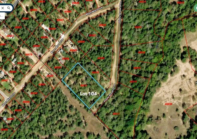 2nd image of (Undisclosed), Bastrop, TX 78602 | MLS# 2316655