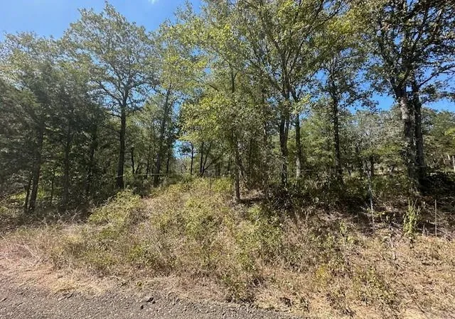 3rd image of (Undisclosed), Bastrop, TX 78602 | MLS# 2316655