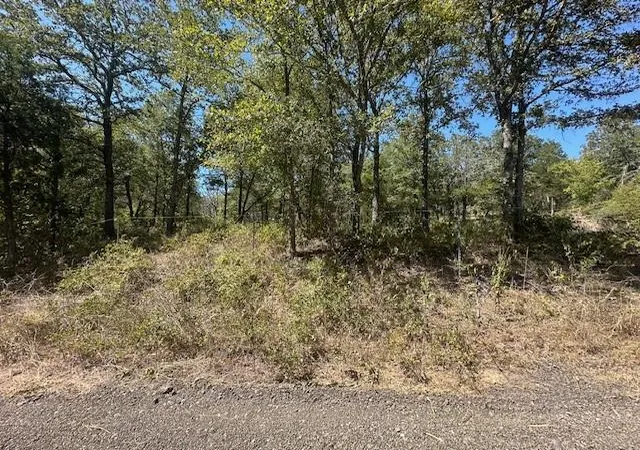 4th image of (Undisclosed), Bastrop, TX 78602 | MLS# 2316655