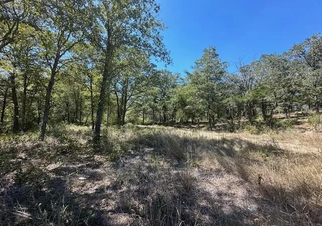 5th image of (Undisclosed), Bastrop, TX 78602 | MLS# 2316655