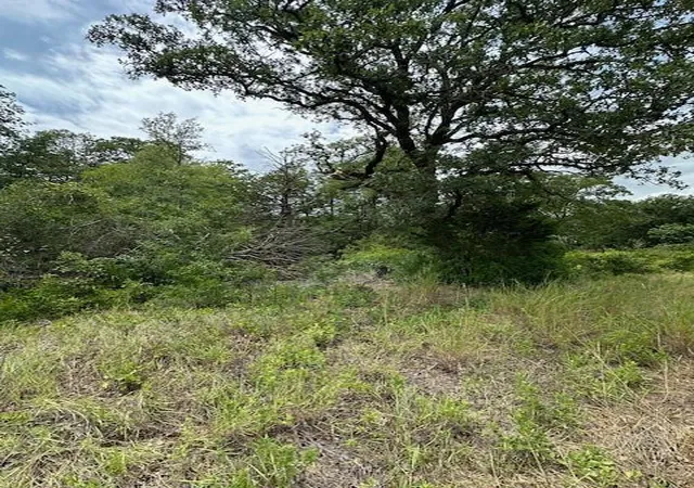 7th image of (Undisclosed), Bastrop, TX 78602 | MLS# 2316655