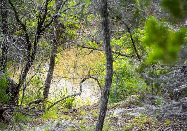 3rd image of 31171 Ranch Road 12, Dripping Springs, TX 78620 | MLS# 8015366
