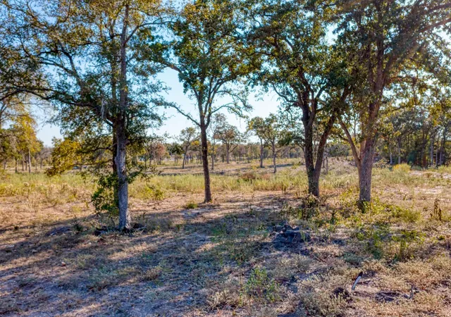 Photo 4 of House for sale at 9202 Lockwood Springs Rd, Manor, TX 78653 | MLS# 7735450 | Listing updated on 2026-07-24