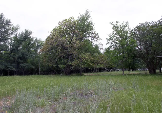 2nd image of 7887 Pettytown Rd, Red Rock, TX 78662 | MLS# 1871520