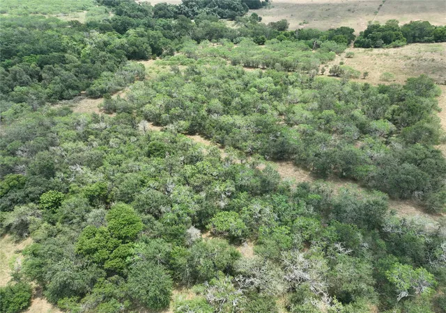 11th image of Tbd Lot 3 Bateman Rd, Red Rock, TX 78662 | MLS# 6645185