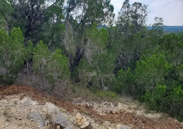 Photo 2 of Land for sale at 2303 Pace Bend Rd S, Spicewood, TX 78669 | MLS# 2151161 | Listing updated on 2026-03-16