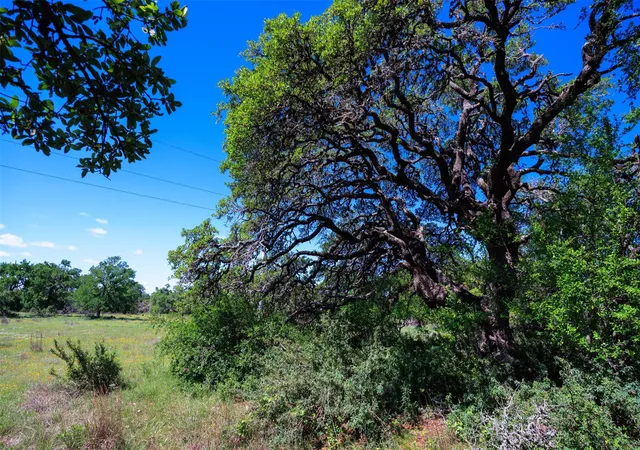Photo 3 of Land for sale at 480 Blue Crk Dr, Dripping Springs, TX 78620 | MLS# 4918283 | Listing updated on 2026-03-16