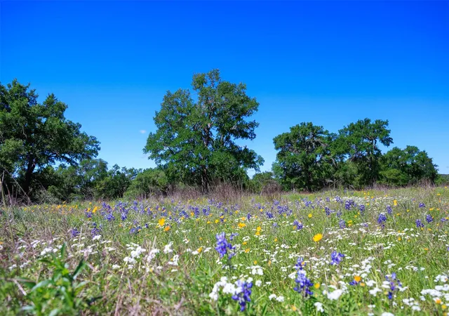 Photo 3 of Land for sale at 480 Blue Crk Dr, Dripping Springs, TX 78620 | MLS# 4918283 | Listing updated on 2026-03-16