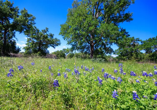 Photo 4 of Land for sale at 480 Blue Crk Dr, Dripping Springs, TX 78620 | MLS# 4918283 | Listing updated on 2026-03-16