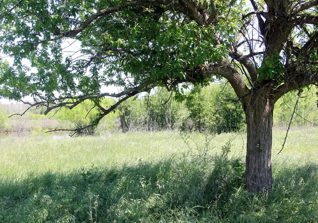 5th image of 1023 Sierra Dr, Lockhart, TX 78644 | MLS# 8579980