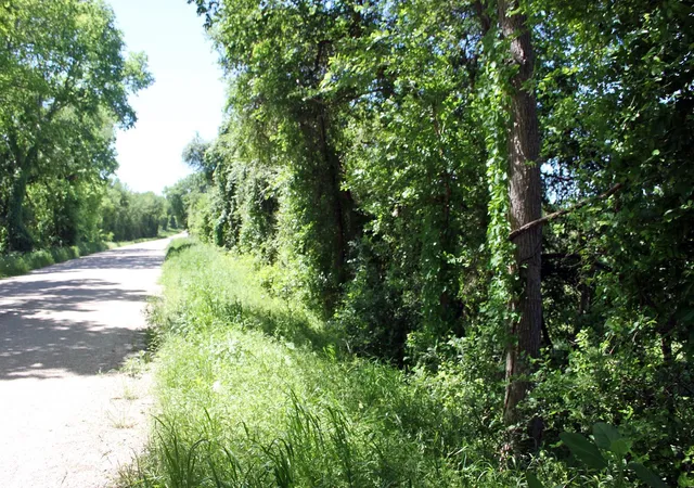 34th image of 1023 Sierra Dr, Lockhart, TX 78644 | MLS# 8579980