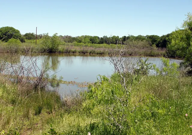 4th image of 1023 Sierra Dr, Lockhart, TX 78644 | MLS# 8579980