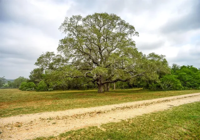 1st image of 323 Cr 446, Gonzales, TX 78629 | MLS# 2161182