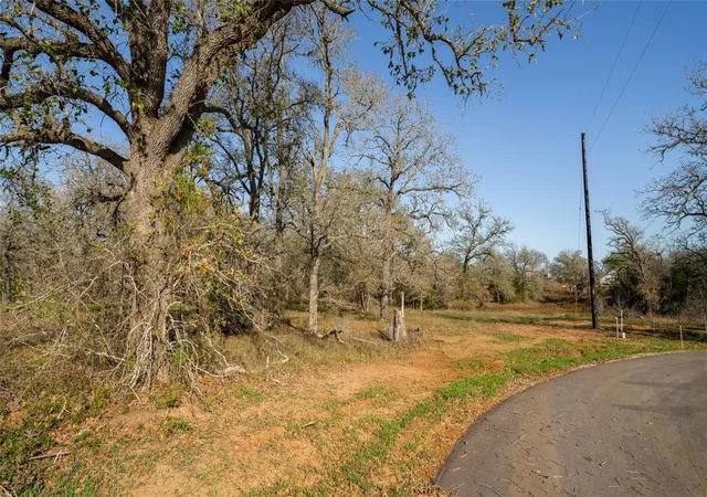 5th image of 199 Azalea Ct, Dale, TX 78616 | MLS# 5456322