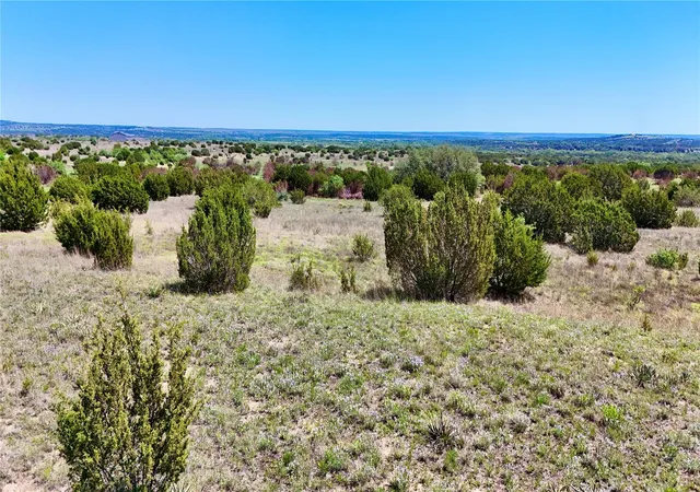 Photo 2 of Land for sale at Tbd E Fm 581, Lometa, TX 76853 | MLS# 6779082 | Listing updated on 2026-03-16