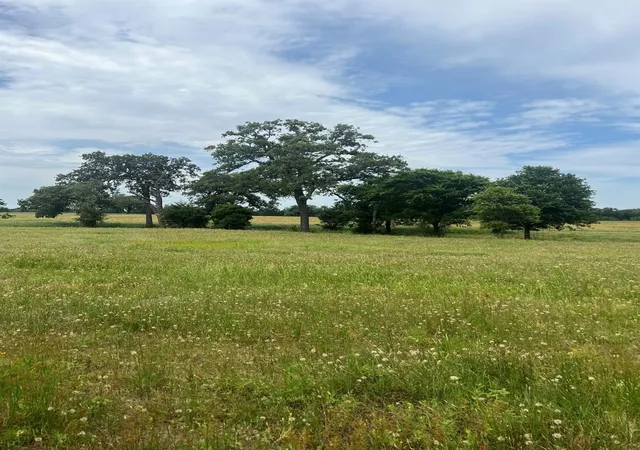 1st image of Tbd2 Davis Rd, Smithville, TX 78957 | MLS# 3814501