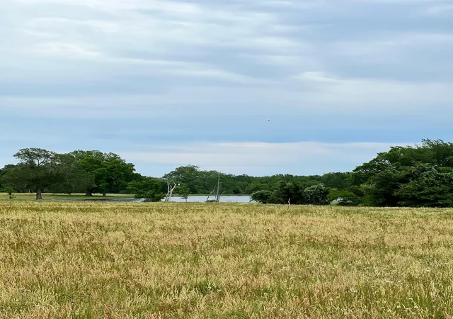 2nd image of Tbd2 Davis Rd, Smithville, TX 78957 | MLS# 3814501