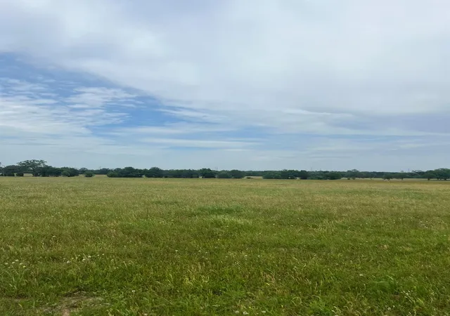 3rd image of Tbd2 Davis Rd, Smithville, TX 78957 | MLS# 3814501