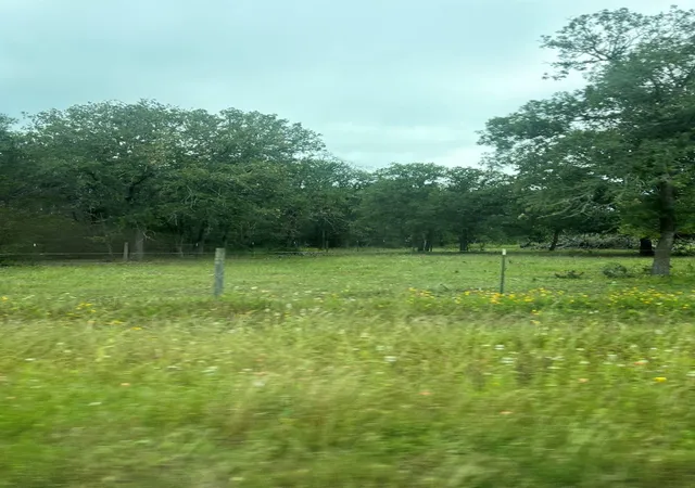 5th image of Tbd2 Davis Rd, Smithville, TX 78957 | MLS# 3814501