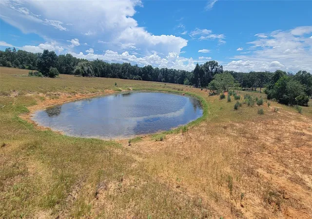 Photo 3 of Land for sale at Tbd N 000 Hwy 77, Rockdale, TX 76567 | MLS# 6001940 | Listing updated on 2026-10-07