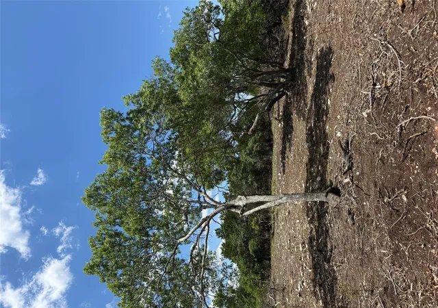 33rd image of 0 Altwein Rd 1791 Acres Altwein Rd, Blanco, TX 78606 | MLS# 2894220