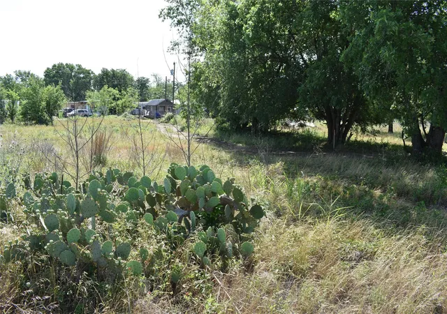 4th image of Tbd Hwy 40 Rd, Bastrop, TX 78602 | MLS# 1615091