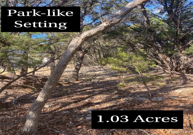 5th image of 17601 Hunters Holw, Jonestown, TX 78645 | MLS# 3119768
