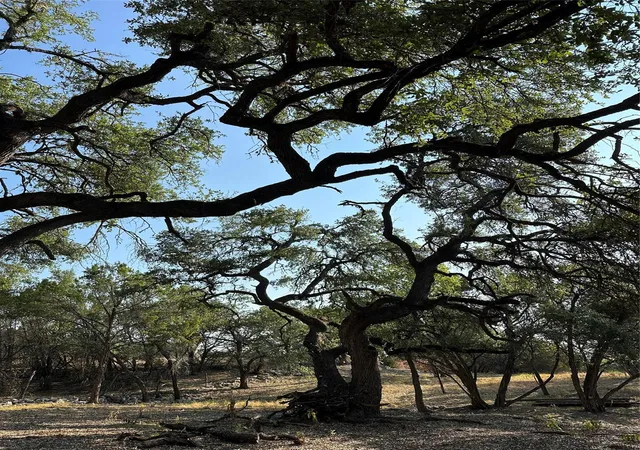 28th image of 12333a Ranch Rd 12 #1, Wimberley, TX 78676 | MLS# 4040895