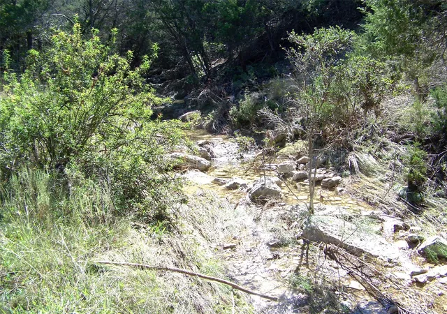 Photo 3 of Land for sale at 370-b Kothman Rd, Dripping Springs, TX 78620 | MLS# 4705975 | Listing updated on 2026-09-13