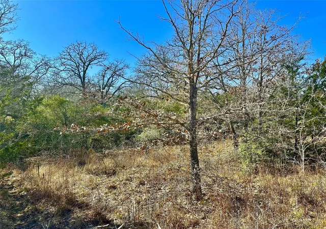 2nd image of (Undisclosed), Waelder, TX 78959 | MLS# 1124417