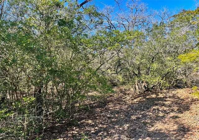 9th image of (Undisclosed), Waelder, TX 78959 | MLS# 1124417