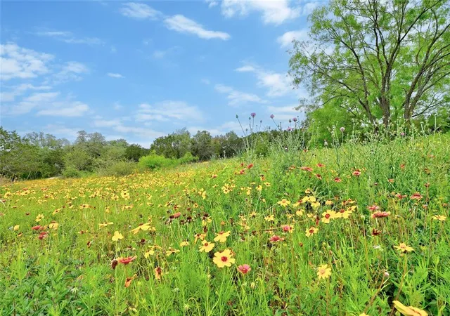 Photo 2 of Land for sale at Lot 18 South Cv, Spicewood, TX 78669 | MLS# 6759934 | Listing updated on 2026-10-06