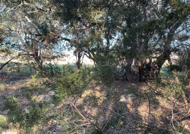 2nd image of 20805 Hawthorne Cv, Leander, TX 78645 | MLS# 5053835
