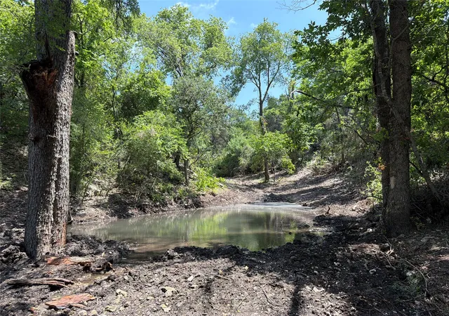 Photo 4 of Land for sale at Tbd Fm 2955, Gatesville, TX 76528 | MLS# 2138536 | Listing updated on 2026-09-25