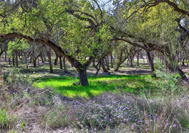 2nd image of Tbd Moonridge Ln, Wimberley, TX 78676 | MLS# 5491521