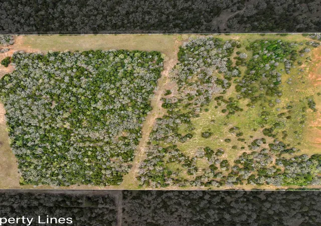Homes for sale in Paige, TX | 2003 County Road 332, Paige, TX 78659 | MLS# 3788257
