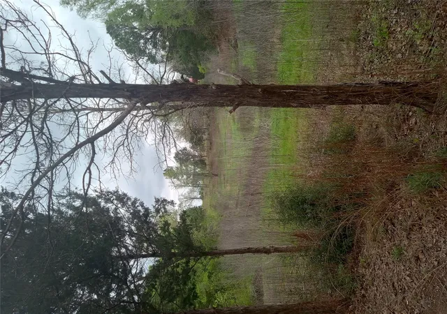 4th image of 177 Moon Mist Dr, Bastrop, TX 78602 | MLS# 7857975
