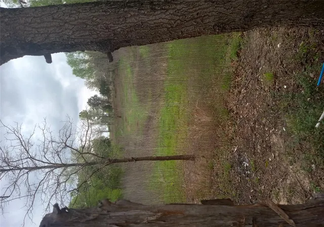 5th image of 177 Moon Mist Dr, Bastrop, TX 78602 | MLS# 7857975