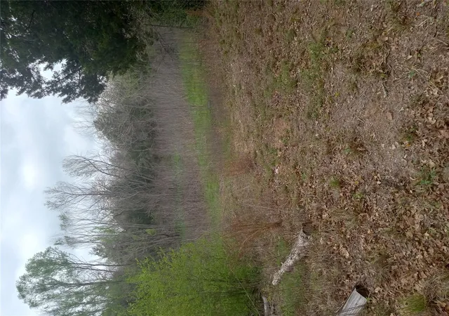 6th image of 177 Moon Mist Dr, Bastrop, TX 78602 | MLS# 7857975