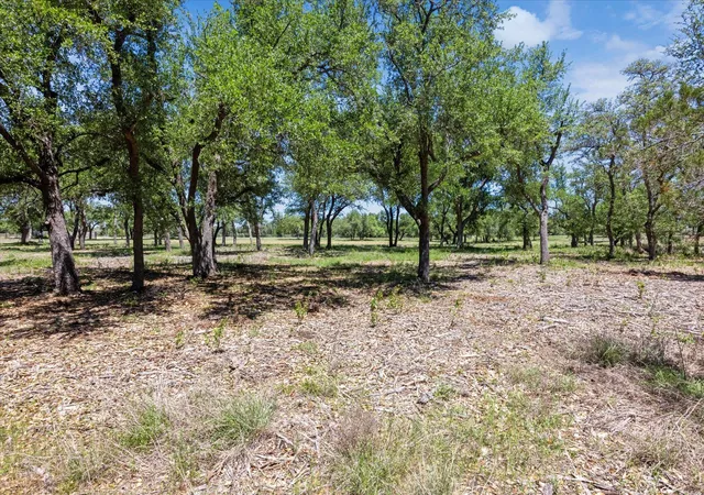 5th image of 201 Medlin Creek Loop, Dripping Springs, TX 78620 | MLS# 3032475