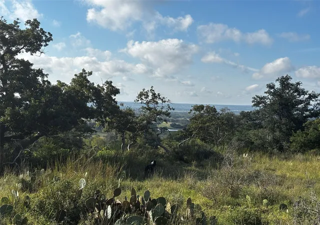 17th image of Lot #8 , Calle Del Sol Dr, Fredericksburg, TX 78624 | MLS# 8644961
