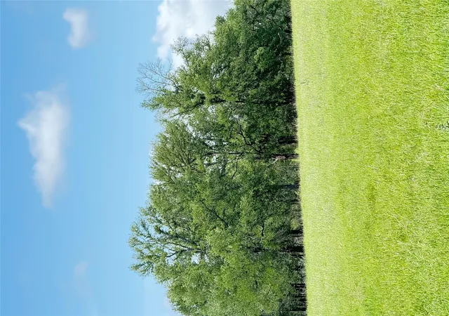 3rd image of 674 County Road 309, Rockdale, TX 76567 | MLS# 2776308