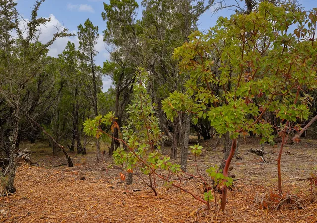 Photo 1 of Land for sale at Tbd Stagecoach Ranch Loop, Dripping Springs, TX 78620 | MLS# 2901320 | Listing updated on 2026-03-16