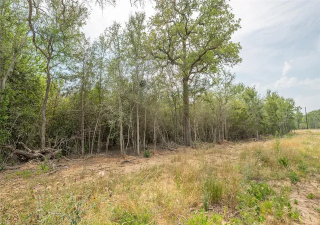 4th image of 926 Ferguson Loop, Dale, TX 78616 | MLS# 1201902