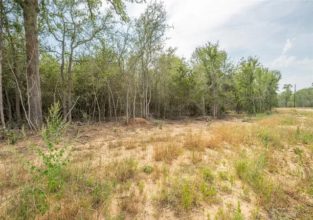 5th image of 926 Ferguson Loop, Dale, TX 78616 | MLS# 1201902