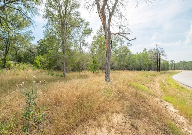 3rd image of 960 Ferguson Loop, Dale, TX 78616 | MLS# 5381501