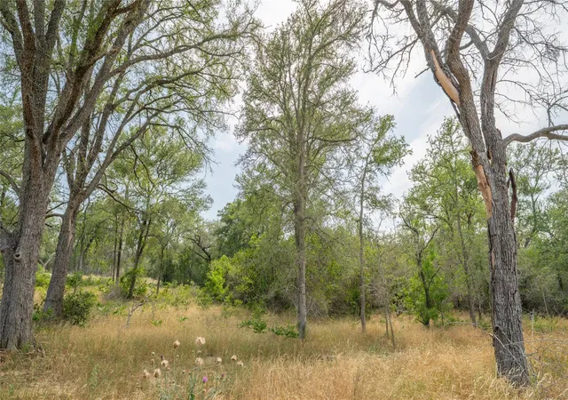 4th image of 960 Ferguson Loop, Dale, TX 78616 | MLS# 5381501